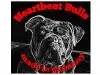 Heartbeat Bulls