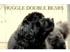 Huggle Double Bears