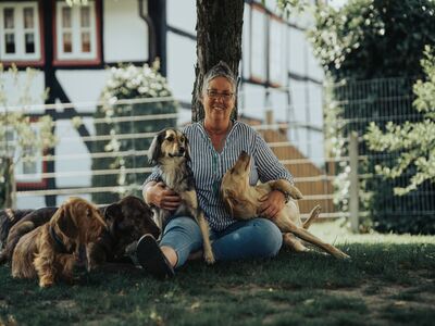Hunde Freude
