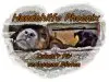 Hundehilfe-Phoenix