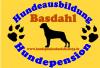 Hundepension Basdahl