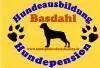 Hundepension Basdahl