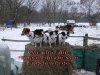 Hundepension zur Rothenbek