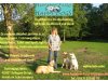 Hundeschule HAPPY DOGS - Solingen, Haan, Hilden, L