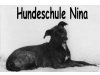 Hundeschule & Pension "Nina"