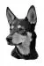 Hundeschule Pepino
