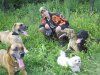 Hundetraining bvl & Tierpension Dominik Lang