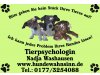 Hundewahnsinn.de Tierpsychologin Nadja Washausen