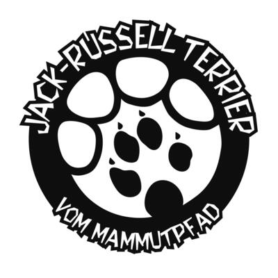 Jack-Russell Terrier vom Mammutpfad