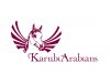 Karubi Arabians