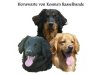 Kosma's Rasselbande