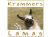 Krammers Llamas
