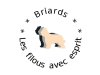 Les filous avec esprit