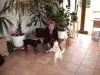 Liebevolle Hundebetreuung