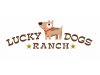Lucky Dogs Ranch Tierfreunde
