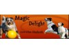 Magic Delight Australian Shepherds
