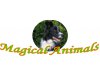 Magical Animals