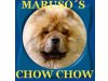 Maruso`s Chow Chows