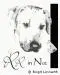 RR in Not