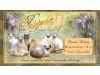 Ragdolls vom Ammerbachtal