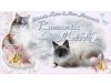 Romantic Melody´s