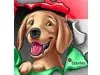 Second Hand Hunde in Not