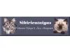 Sibirientaigas-Sibirische Katzen/Neva Masquerade