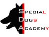 Special Dogs Academy