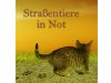 Straßentiere in Not