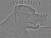 Styriastaff