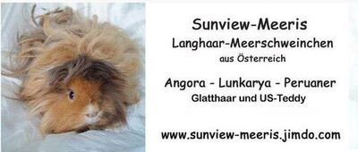 Sunview Meeris