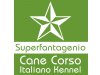 Superfantagenio