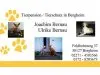 Tierpension - Tierschutz Bergheim