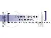 Toms Dogs School