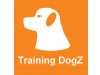 Training DogZ Hundeschule in Berlin