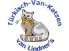 Tuerkisch-Van-Katzen van Lindner's