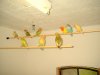 Wayders-Vogelzucht