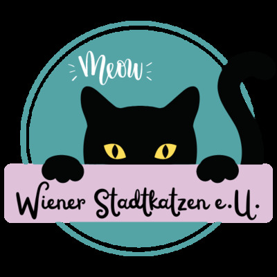 Wiener Stadtkatzen - Katzensitter/Katzencoach in Wien