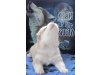 Wolfdancer`s Siberian Husky Kennel