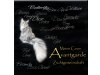 ZG Avantgarde