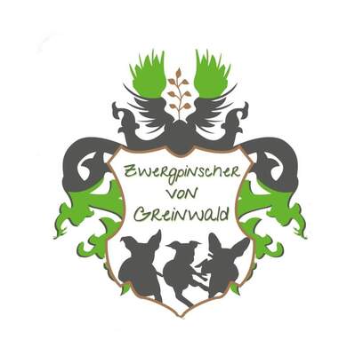Zwergpinscher von Greinwald