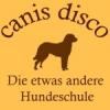 canis disco - Die etwas andere Hundeschule