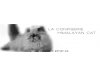 l´confiserie