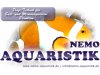 nemo-aquaristik