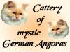 of mystic German Angoras
