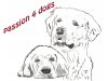 passion4dogs