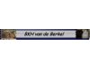 van de Berkel