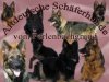 vom Perlenbachgrund