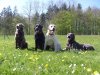 vom-Seebachtal