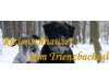 vom Trienzbachtal